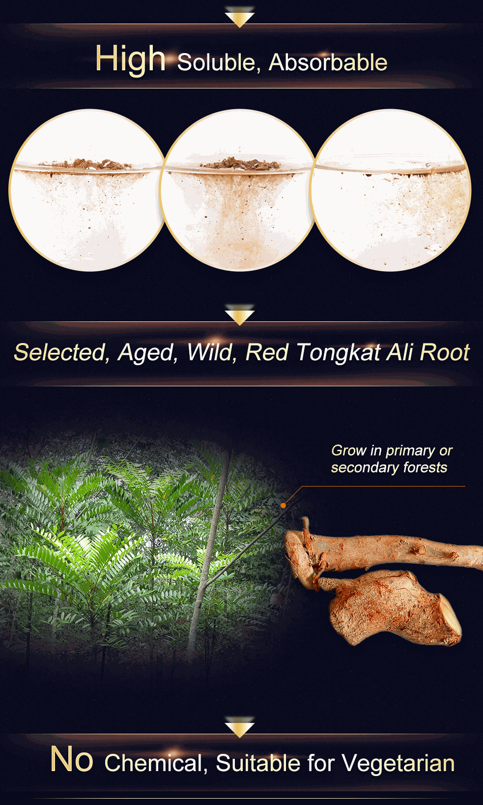 [Bundle 1+1] Tongkat Ali XP Maca + Arginine AliKing